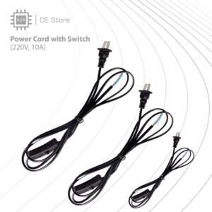 Power Cord with Switch (220V, 10A)